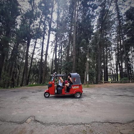 Pine Trees Homestay Nallathanniya ภายนอก รูปภาพ