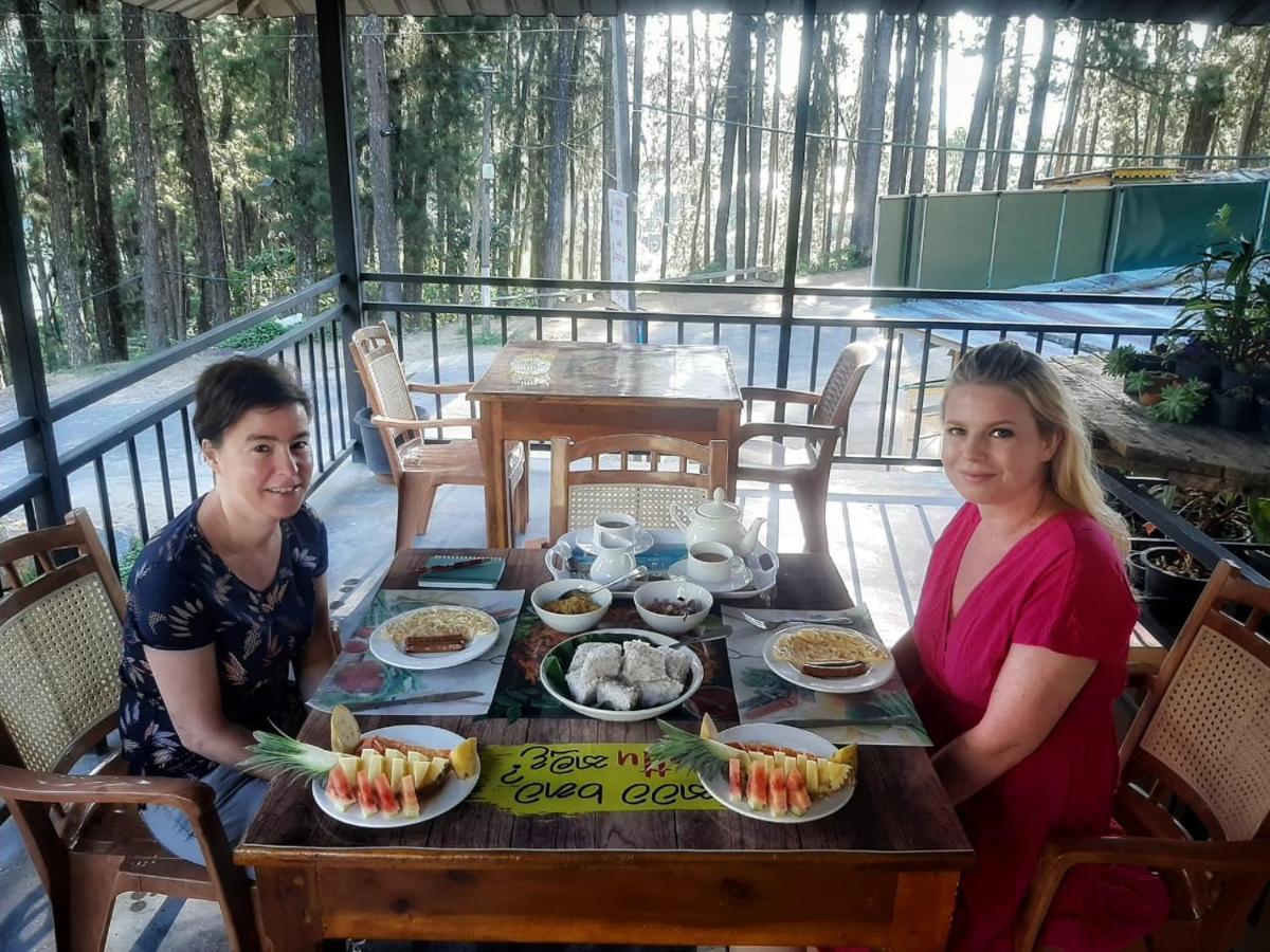 Pine Trees Homestay Nallathanniya ภายนอก รูปภาพ