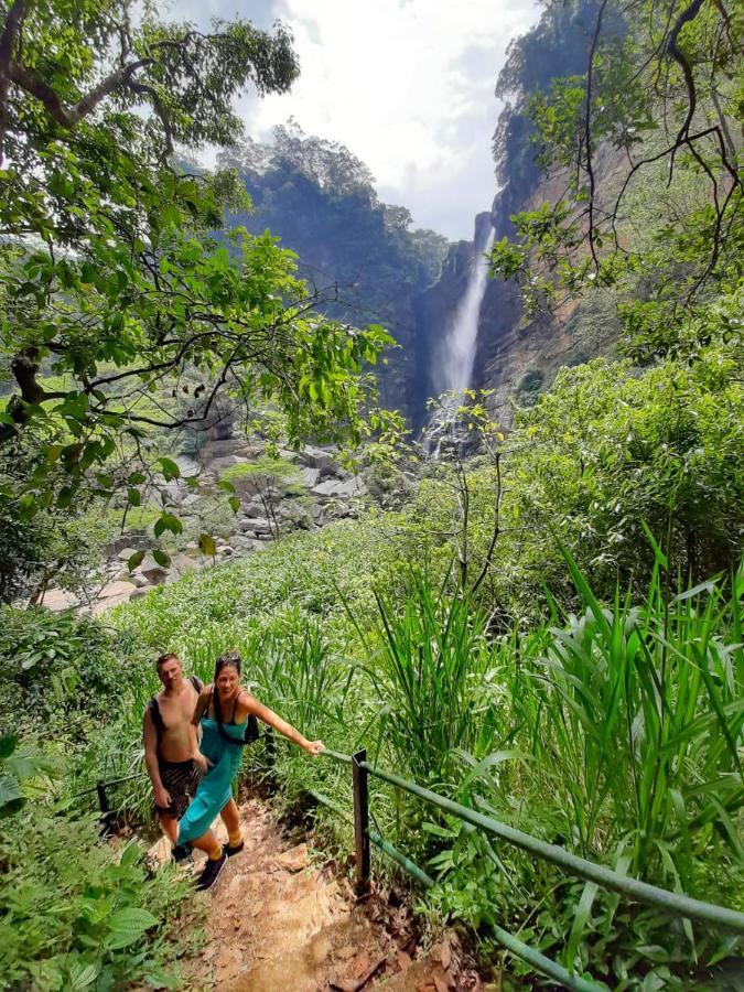 Pine Trees Homestay Nallathanniya ภายนอก รูปภาพ