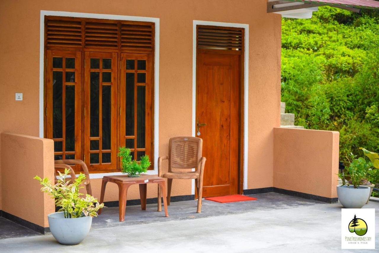 Pine Trees Homestay Nallathanniya ภายนอก รูปภาพ