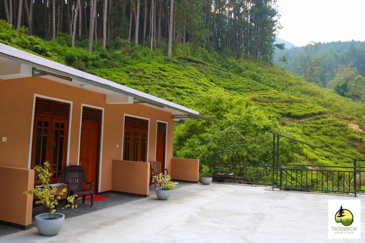 Pine Trees Homestay Nallathanniya ภายนอก รูปภาพ