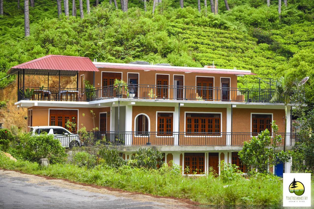 Pine Trees Homestay Nallathanniya ภายนอก รูปภาพ