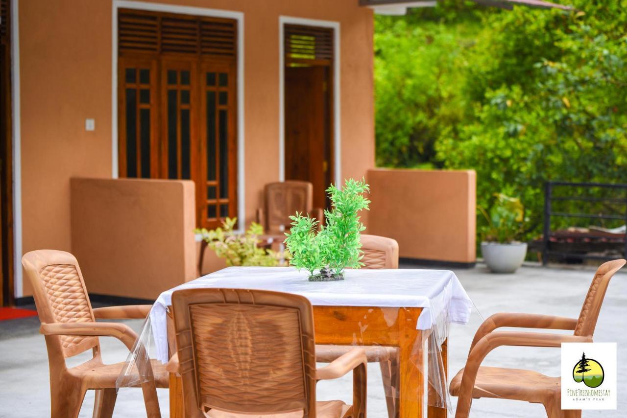 Pine Trees Homestay Nallathanniya ภายนอก รูปภาพ