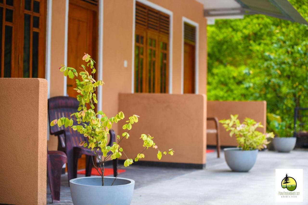 Pine Trees Homestay Nallathanniya ภายนอก รูปภาพ