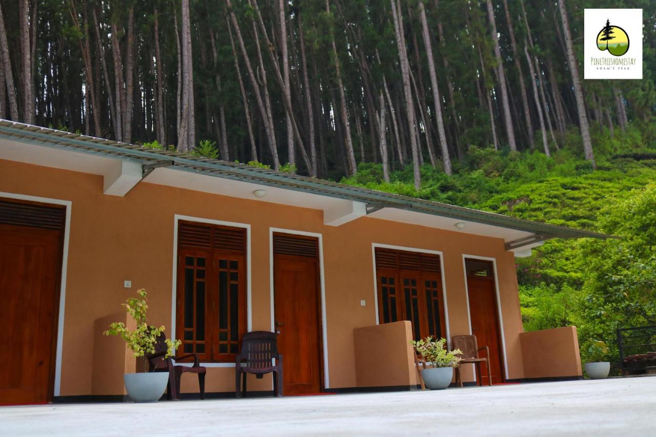 Pine Trees Homestay Nallathanniya ภายนอก รูปภาพ