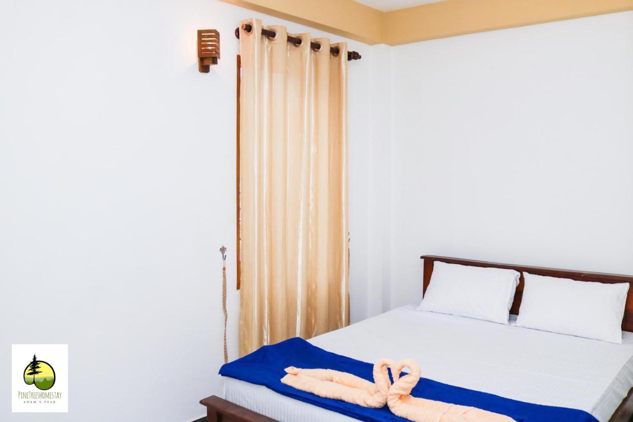 Pine Trees Homestay Nallathanniya ภายนอก รูปภาพ