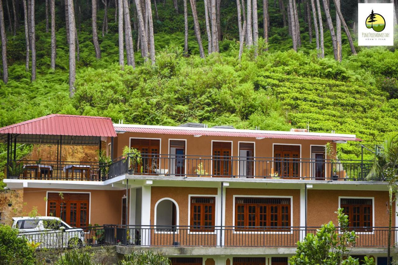 Pine Trees Homestay Nallathanniya ภายนอก รูปภาพ