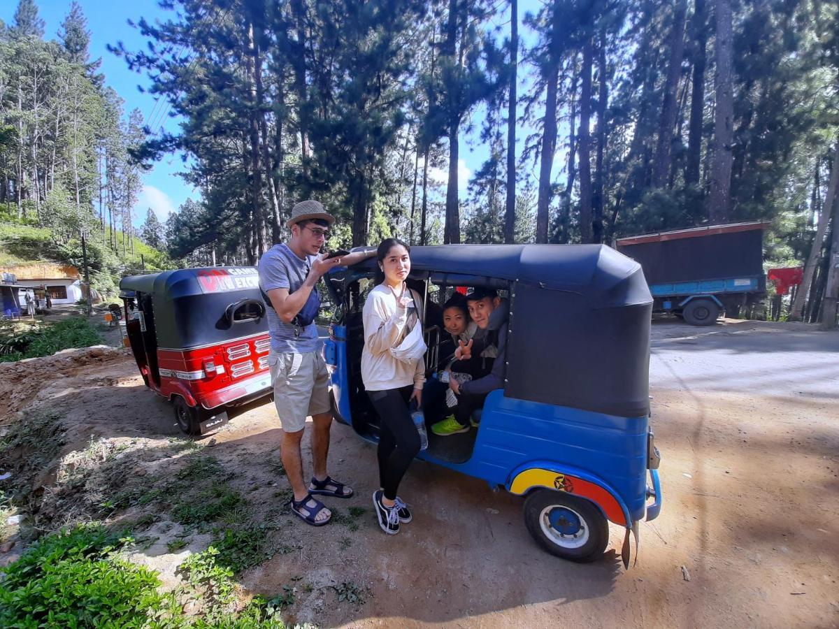 Pine Trees Homestay Nallathanniya ภายนอก รูปภาพ